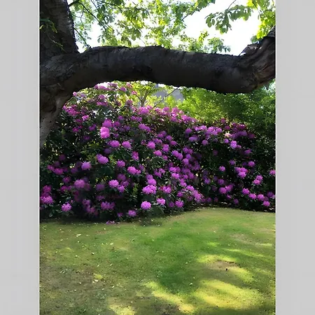 Tolle Mit Sonnenbalkon Веннингштедт