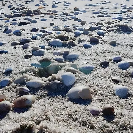 Апартаменты Tolle Mit Sonnenbalkon