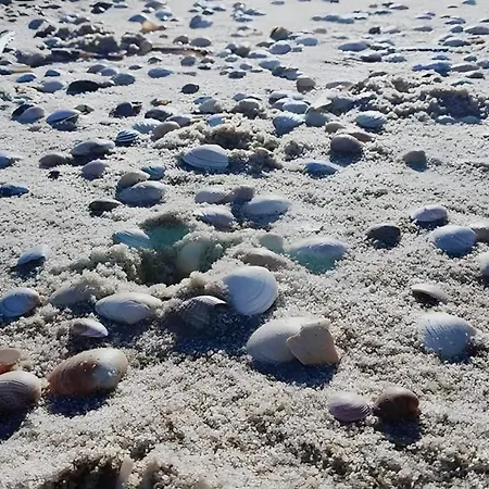 Apartman Tolle Mit Sonnenbalkon Wenningstedt-Braderup (Sylt)